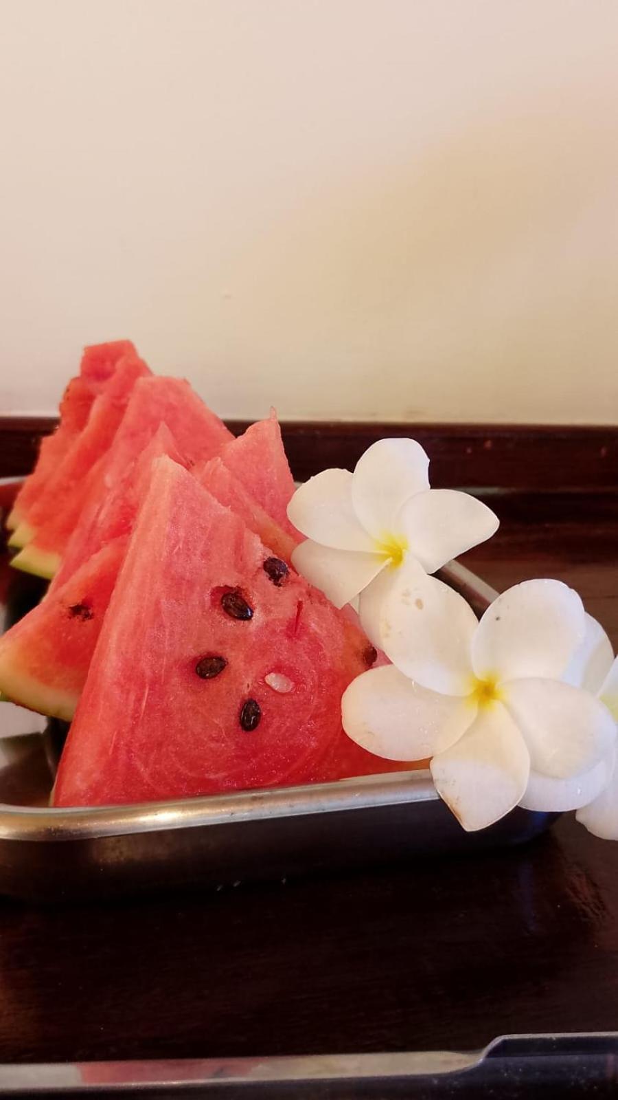 Pousada Eucaliptos Barra Grande  Kültér fotó