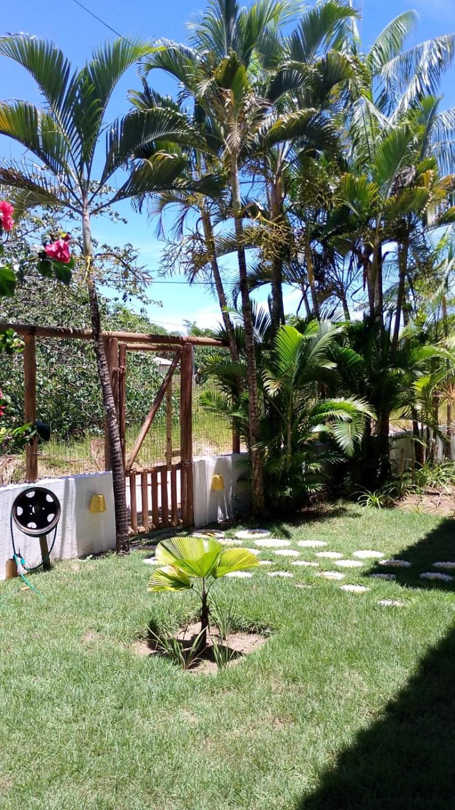 Pousada Eucaliptos Barra Grande  Kültér fotó
